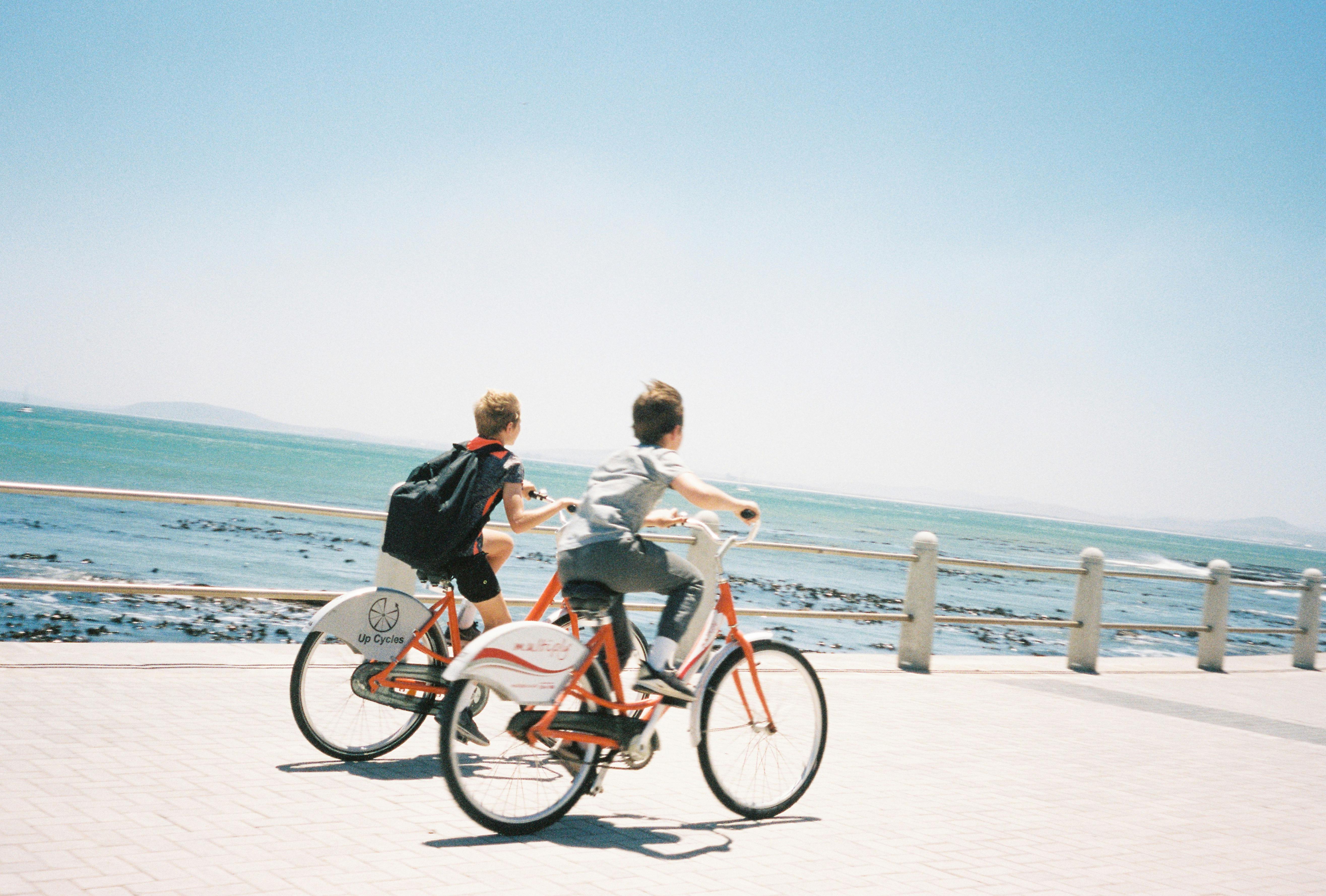 Local experiences in Cape Town